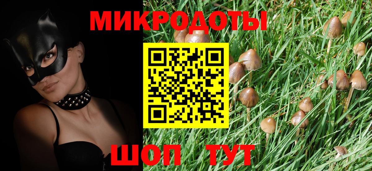 Тосно  Галлюциногенные грибы мицелий  Псилоцибиновые грибы прущие грибы  Вход с VPN 