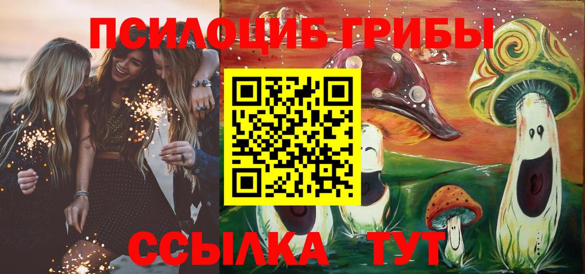 Галлюциногенные грибы Cubensis Тосно